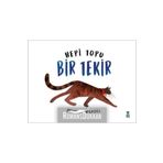 Taze Kitap Hepi Topu Bir Tekir / 433321