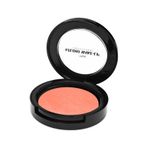 Tca Studio Make-Up Bronz Terra Blush 01 Allık