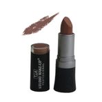 Tca Studio Make Up Perfect Matt Lipstick 019 Kahverengi Ruj