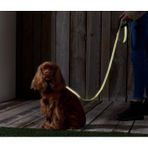 Tchibo Reflektörlü Köpek Tasması