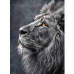 TDFERAN 40 x 50 cm Elmas Boyama Aslan Seti Sarı Gözler Siyah Desen Aslan Elmas Boyama Kral Duygular Kedi Kristal Mozaik Erkekler ve Kadınlar İçin Uygun Sanat İşi Kendin Yap Ev Duvar Dekorasyonu