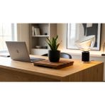 Teak Ağacından Saksı Altlığı Serisi - Tuza, Suya, Neme Dayanıklı - Tekerleksiz Model - 25x25 cm