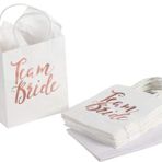 Team Bride hediye torbası, bekarlığa veda partisi, 5 parçalı set, düğün, gelin, gelin partisi, bekarlığa veda partisi, nikah nedimesi, hediye, kızlar, parti, evlilik, dekoratif kağıt torba, çevre