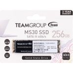Team TM8PS7256G0C101 256 GB SSD