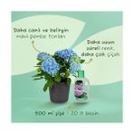 Tech Butiq Ortancalar ve Açelyalar Için Sıvı Besin Gübre 500 ml - 00 Beyaz - Option-1
