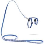 Tech Butiq Yavru Kedi Göğüs Tasması ve Gezdirme Kayışı 120CM, Mavi, 16-25CM Boyun, 23-36CM Göğüs - Option-1