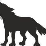 Technopa 90 cm Uzunluk Kurt Folyo Sticker