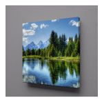 Technopa Ağaç Yansıması 40x40 cm Kare Kanvas Tablo