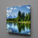 Technopa Ağaç Yansıması 70x70 cm Kare Kanvas Tablo
