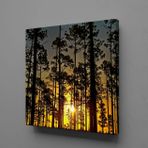 Technopa Ağaçlar 120x120 cm Kanvas Tablo