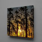 Technopa Ağaçlar 130x130 cm Kanvas Tablo