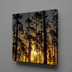 Technopa Ağaçlar 60x60 cm Kanvas Tablo