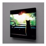 Technopa Arabada Kedi 130x130 cm Kare Kanvas Tablo