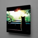 Technopa Arabada Kedi 30x30 cm Kare Kanvas Tablo