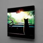 Technopa Arabada Kedi 40x40 cm Kare Kanvas Tablo