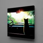 Technopa Arabada Kedi 60x60 cm Kare Kanvas Tablo