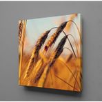 Technopa Başak Salkımı 100x100 cm Kanvas Tablo