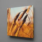 Technopa Başak Salkımı 40x40 cm Kanvas Tablo