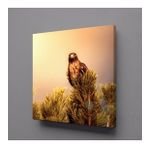Technopa Baykuş 130x130 cm Kanvas Tablo