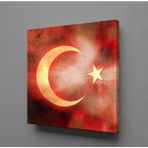Technopa Bayrağın Işıldaması 30x30 cm Kanvas Tablo