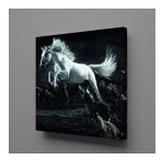 Technopa Beyaz At 70x70 cm Kanvas Tablo