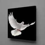 Technopa Beyaz Kuş 80x80 cm Kanvas Tablo