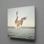 Technopa Beyaz Martı 40x40 cm Kanvas Tablo