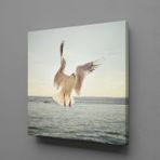 Technopa Beyaz Martı 80x80 cm Kanvas Tablo