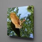 Technopa Ceylan 40x40 cm Kanvas Tablo