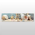Technopa Deniz Yıldızı ve Deniz Kabuğu 120x40 cm Kanvas Tablo