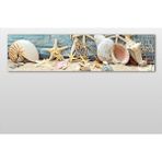 Technopa Deniz Yıldızı ve Deniz Kabuğu 240x80 cm Kanvas Tablo