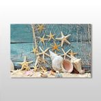Technopa Deniz Yıldızı ve Deniz Kabuğu 30x20 cm Kanvas Tablo