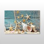 Technopa Deniz Yıldızı ve Deniz Kabuğu 45x30 cm Kanvas Tablo