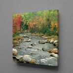 Technopa Deredeki Taşlar 70x70 cm Kanvas Tablo