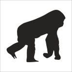 Technopa DERSTV1003 100cm Maymun Folyo Sticker
