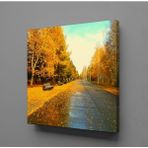 Technopa Dökülen Yapraklar 30x30 cm Kanvas Tablo