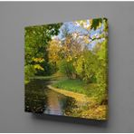 Technopa Dökülen Yapraklar 90x90 cm Kanvas Tablo