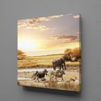 Technopa Fil ve Zebralar 25x25 cm Kanvas Tablo