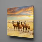 Technopa Geyikler 70x70 cm Kanvas Tablo