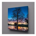 Technopa Göl İçindeki Ağaç 70x70 cm Kanvas Tablo