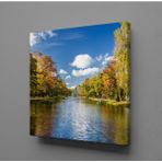 Technopa Göl ve Ağaçlar 70x70 cm Kanvas Tablo