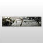 Technopa Göldeki Ördekler 120x40 cm Kanvas Tablo