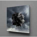 Technopa Gri Siyah 90x90 cm Kanvas Tablo