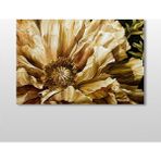 Technopa Gül Kurumuş 150x100 cm Kanvas Tablo