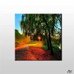 Technopa Güneşin Dokunuşu 70x70 cm Kanvas Tablo
