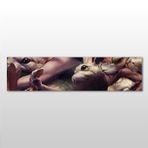 Technopa Hamster 210x70 cm Kanvas Tablo