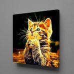Technopa Işıltılı Kedi 60x60 cm Kanvas Tablo
