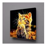 Technopa Işıltılı Kedi 70x70 cm Kanvas Tablo