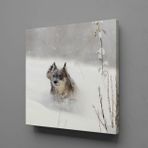 Technopa Kahverengi Kurt 30x30 cm Kanvas Tablo