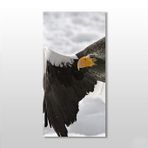 Technopa Kartal 140x210 cm Kanvas Tablo